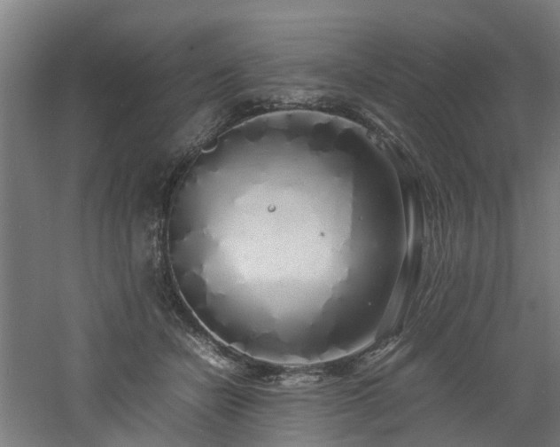 X0000060770462200511101218