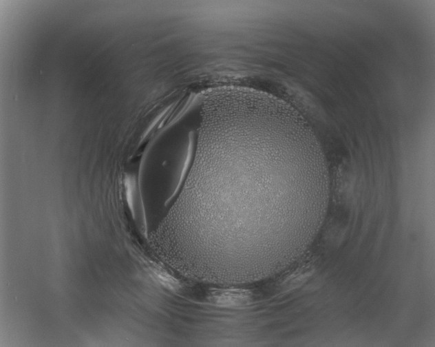 X0000060770463200511101218