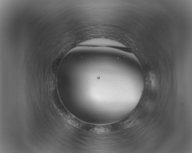 X0000060770464200511101218