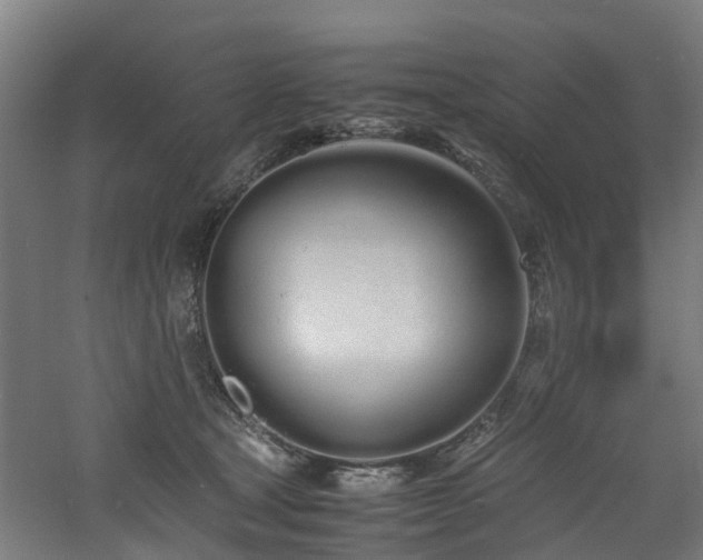 X0000060770465200511101219