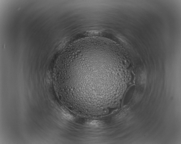 X0000060770467200511101219