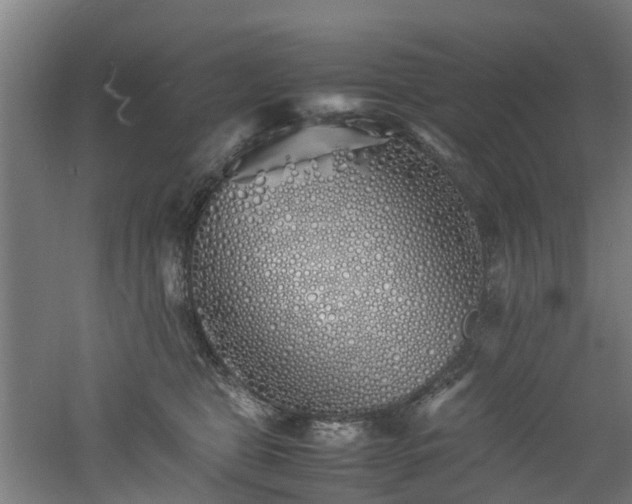 X0000060770469200511101219