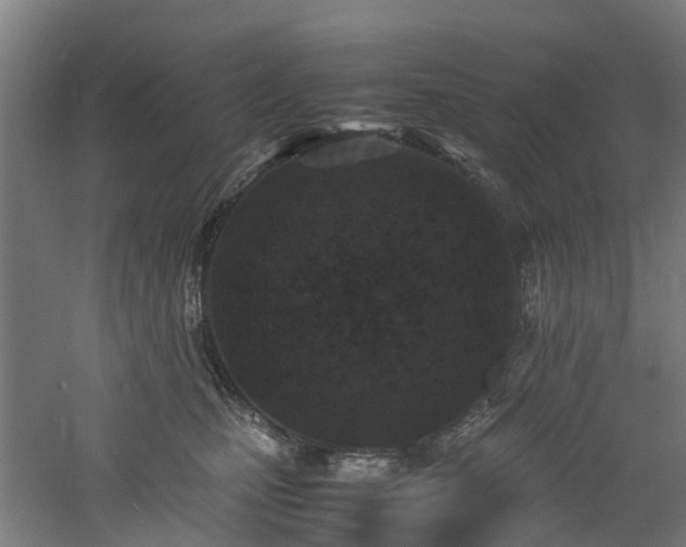 X0000060770471200511101219