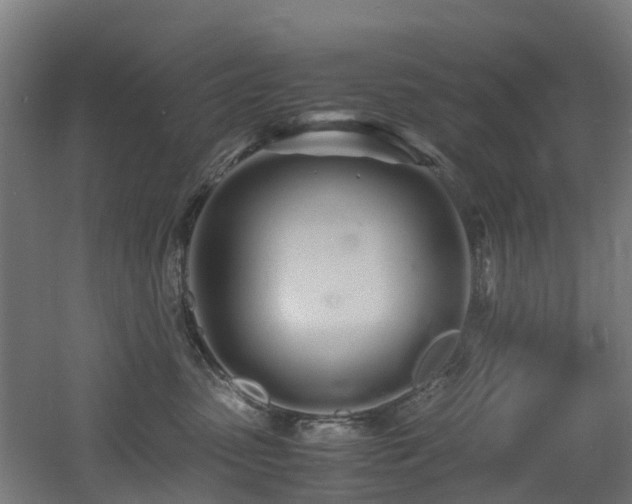 X0000060770475200511101219