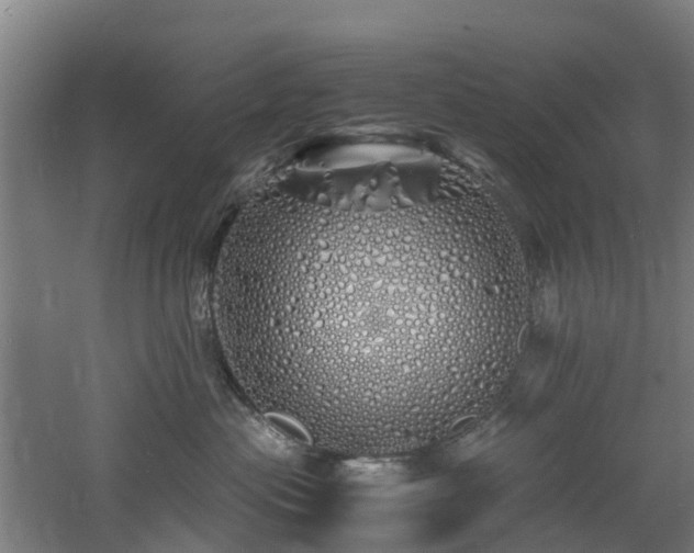 X0000060770477200511101219