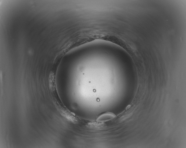 X0000060770480200511101219