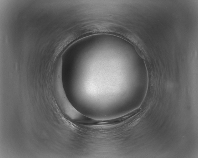 X0000060770481200511101218