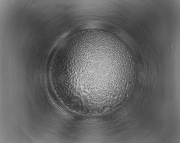 X0000060770482200511101218