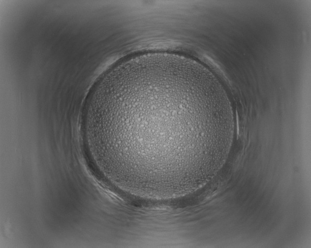 X0000060770483200511101218