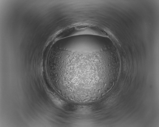 X0000060770486200511101218