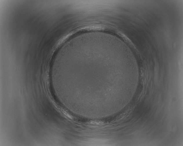 X0000060770487200511101218