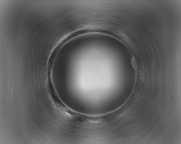 X0000060770488200511101218