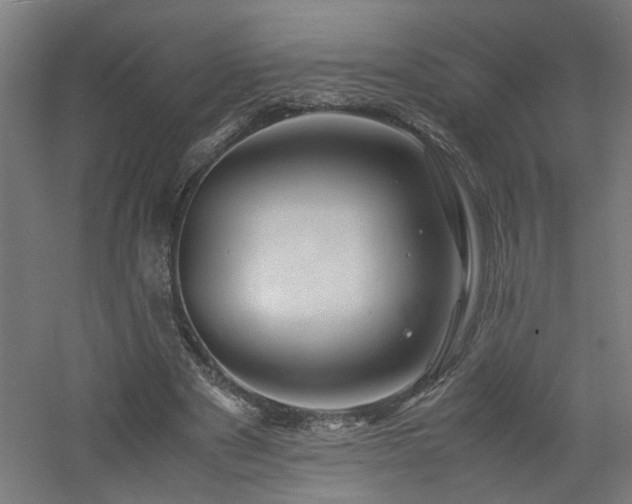 X0000060770489200511101218