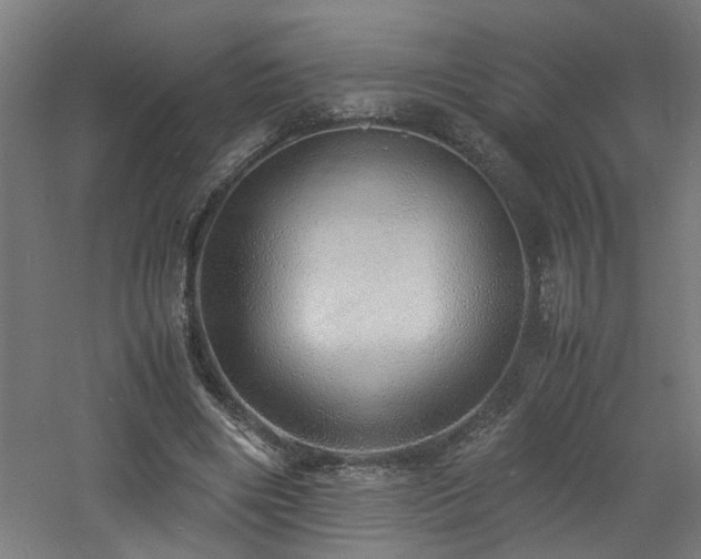 X0000060770490200511101218