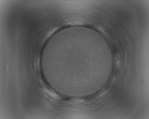 X0000060770491200511101218