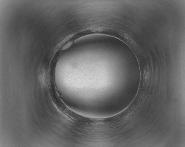 X0000060770492200511101218