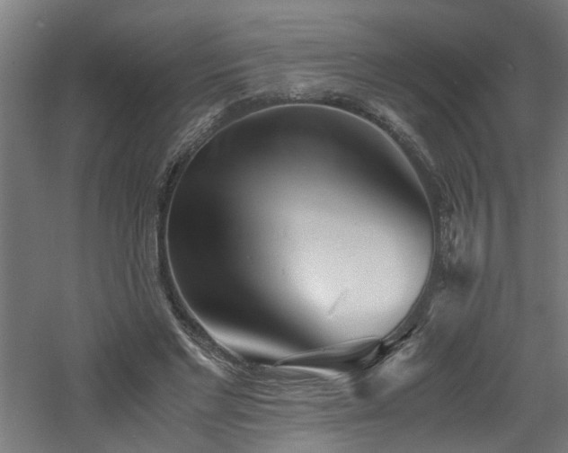 X0000060770493200511101218