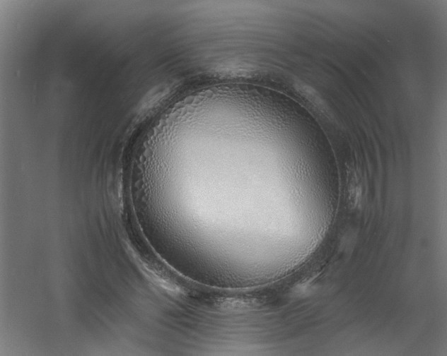 X0000060770494200511101218