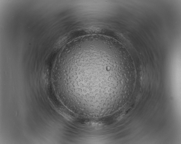 X0000060770498200511101218