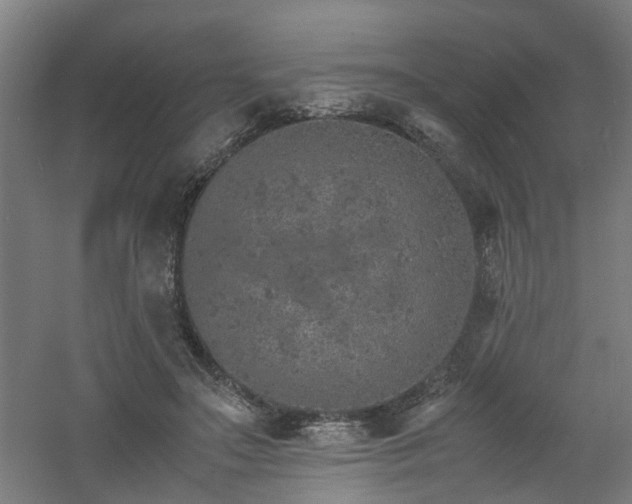 X0000060770499200511101218