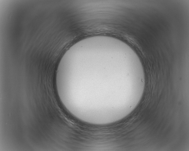 X0000060770501200511101218