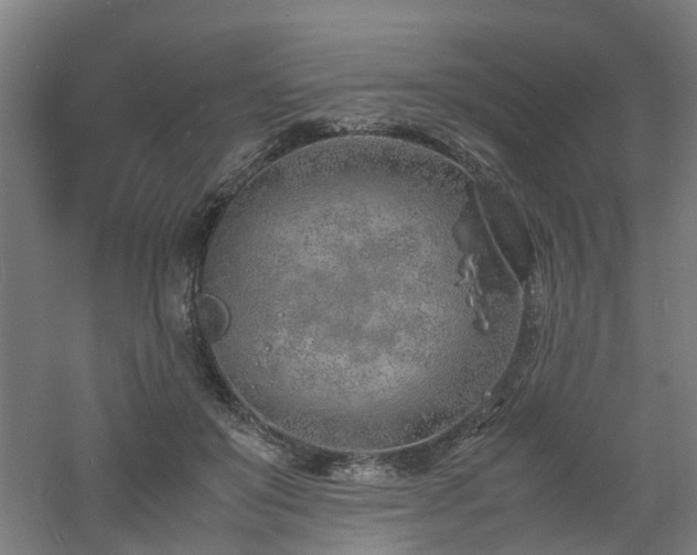 X0000060770503200511101218