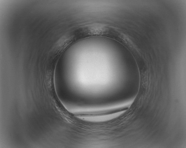 X0000060770505200511101218