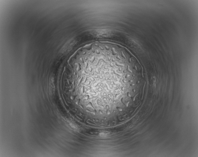 X0000060770506200511101218