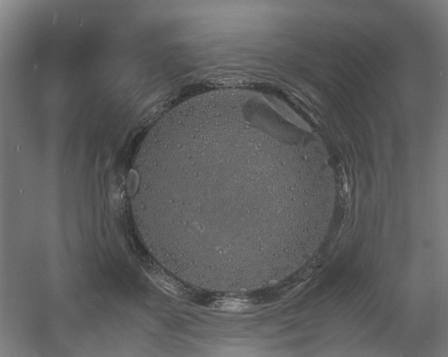 X0000060770507200511101217