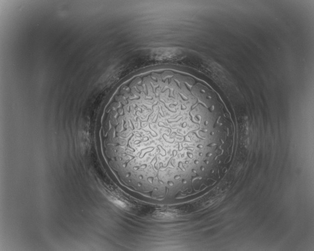 X0000060770510200511101217