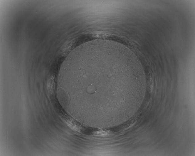 X0000060770511200511101217