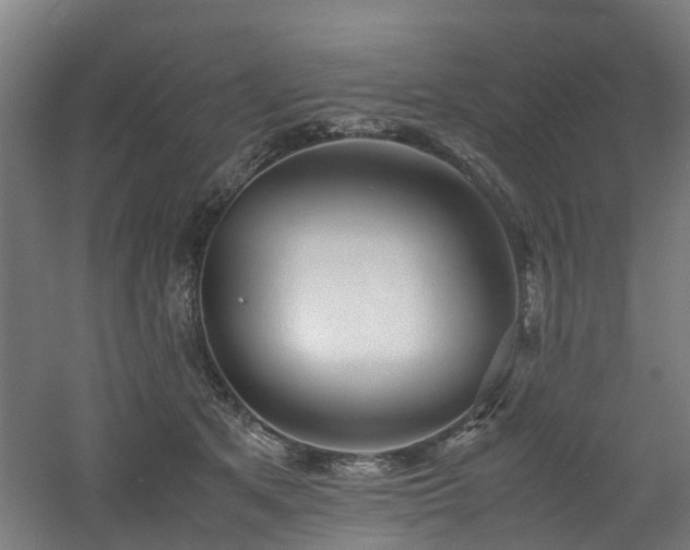 X0000060770513200511101217