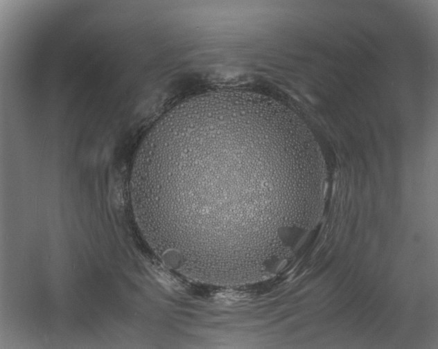 X0000060770515200511101217