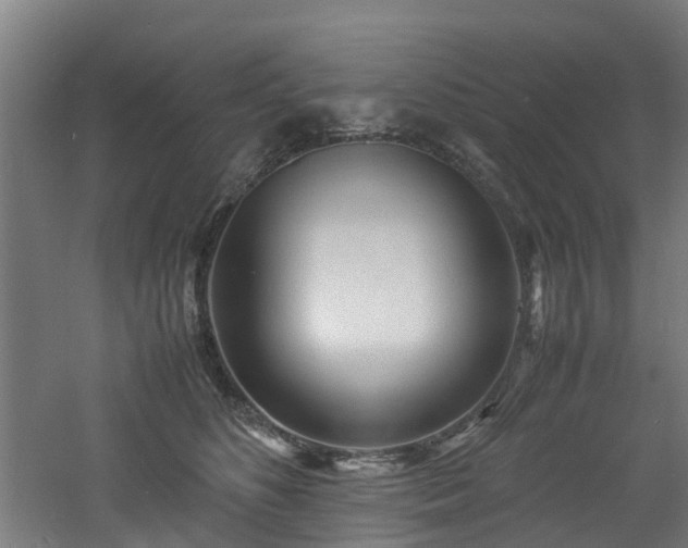 X0000060770516200511101217