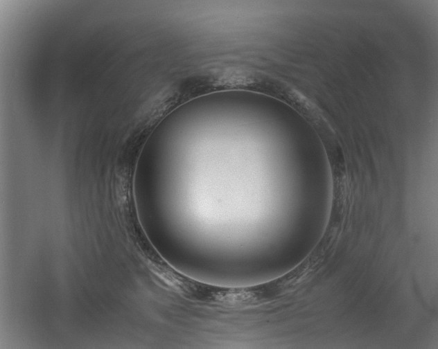 X0000060770517200511101217