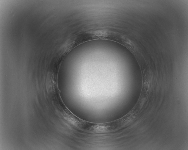 X0000060770518200511101217