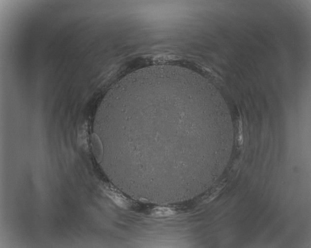 X0000060770519200511101217