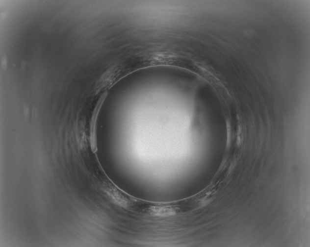 X0000060770520200511101217