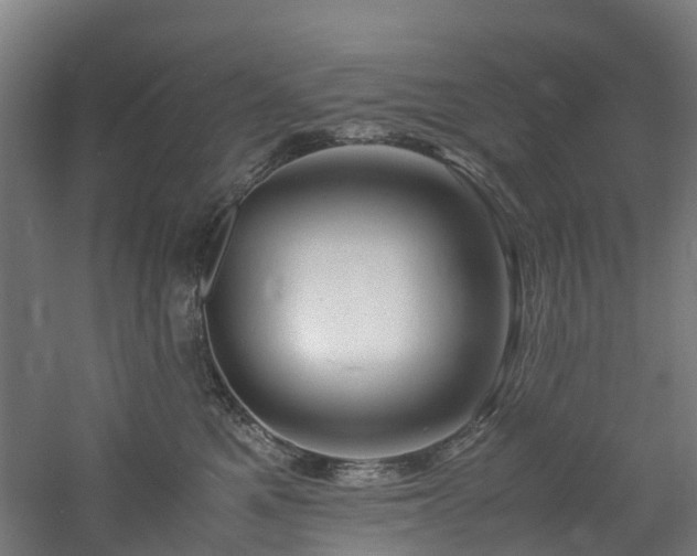 X0000060770521200511101217