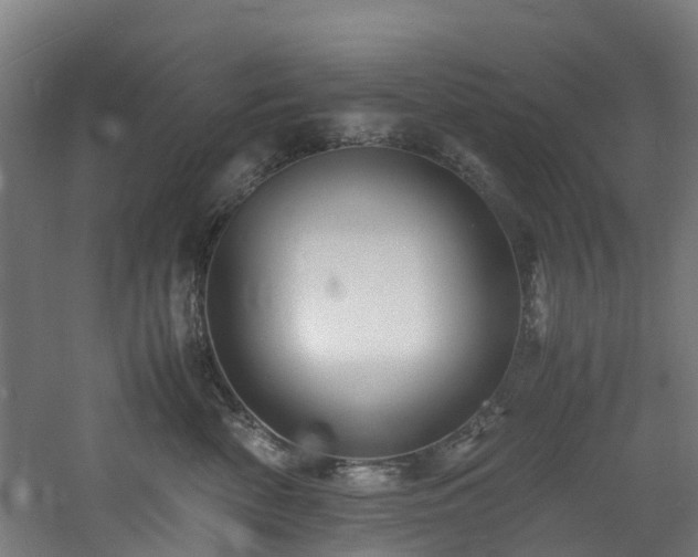 X0000060770522200511101217