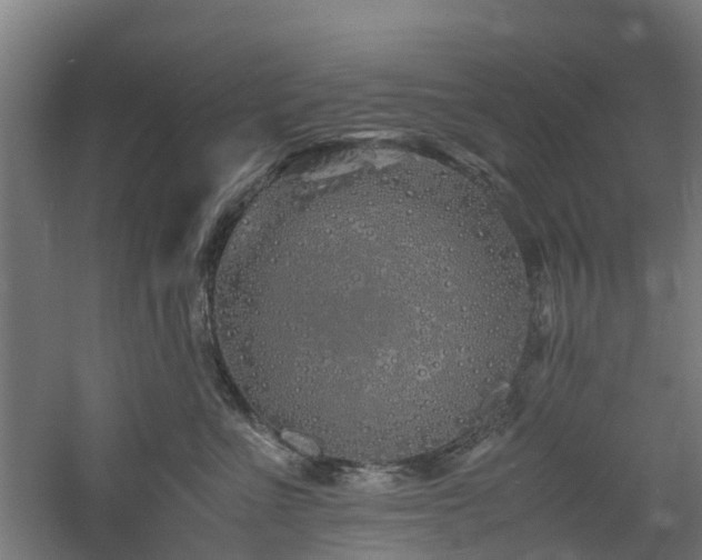 X0000060770523200511101217