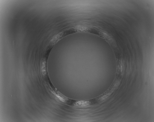 X0000060770526200511101217