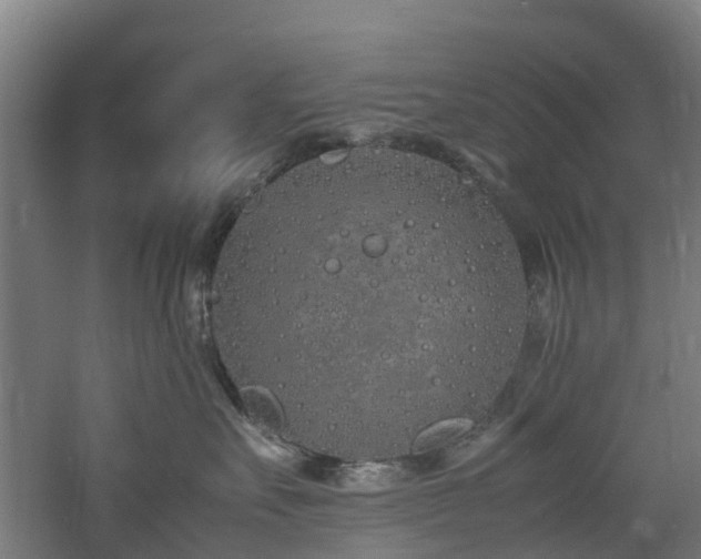 X0000060770527200511101217