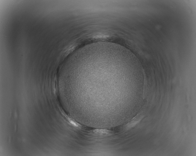 X0000060770528200511101217