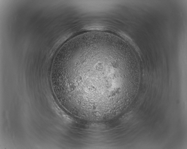 X0000060770529200511101216