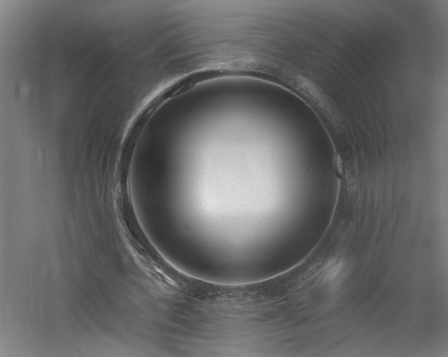 X0000060770532200511101216