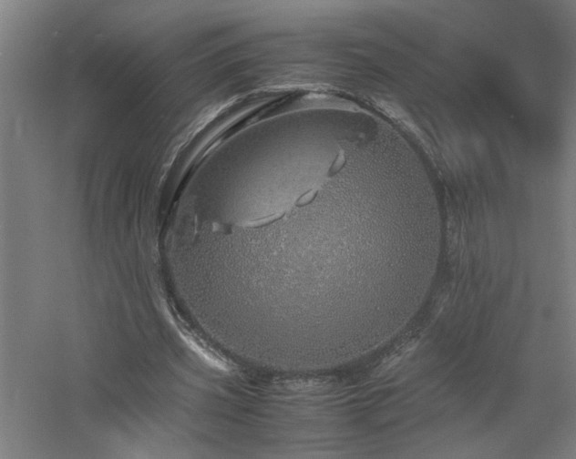 X0000060770533200511101216