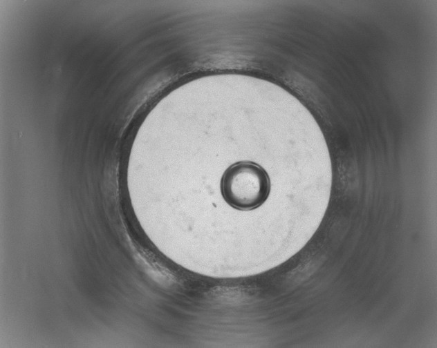 X0000060770534200511101216