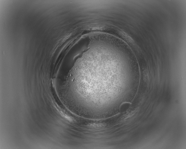 X0000060770537200511101216