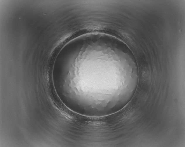 X0000060770539200511101216